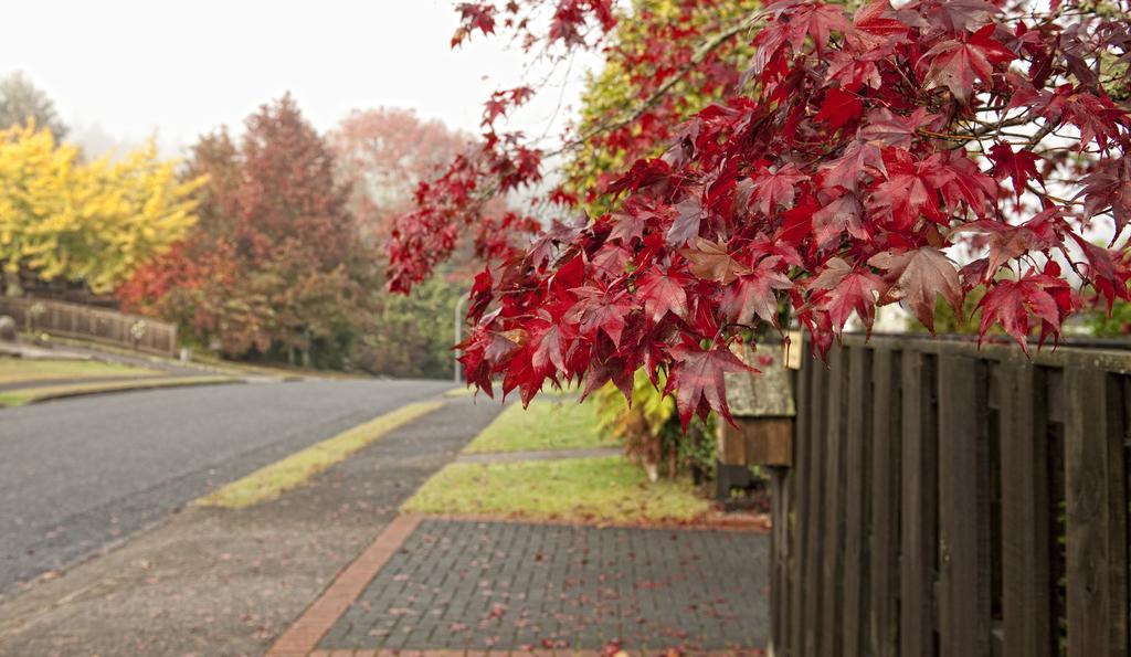 B&B@The Redwoods Rotorua Ngoại thất bức ảnh